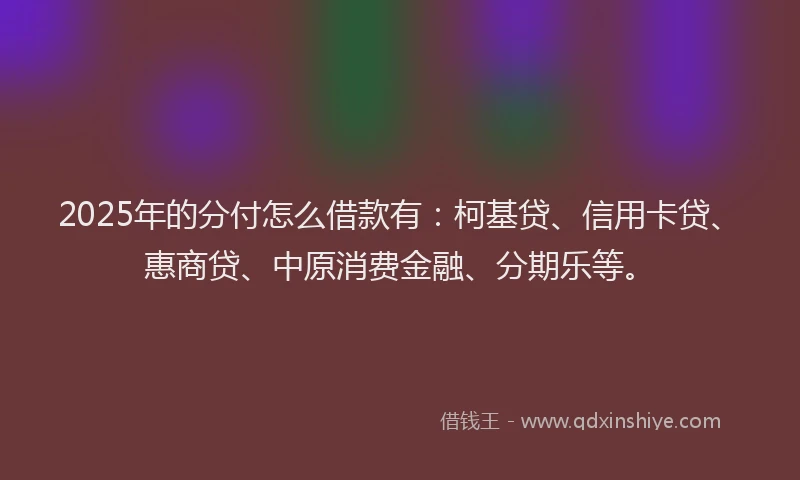 2025年的分付怎么借款有：柯基贷、信用卡贷、惠商贷、中原消费金融、分期乐等。