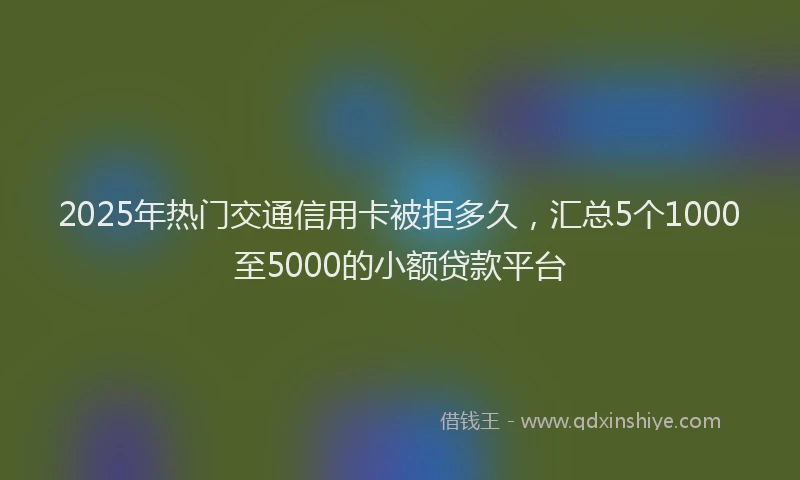 2025年热门交通信用卡被拒多久，汇总5个1000至5000的小额贷款平台