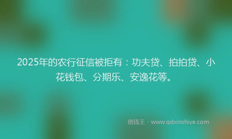 2025年的农行征信被拒有：功夫贷、拍拍贷、小花钱包、分期乐、安逸花等。
