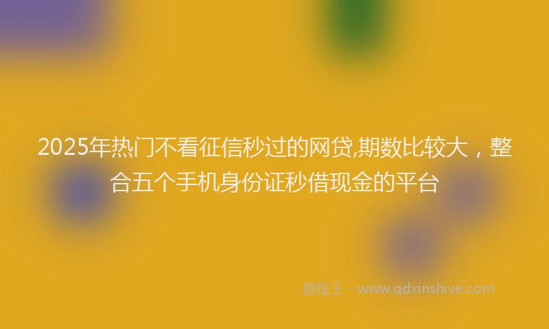 2025年热门不看征信秒过的网贷,期数比较大，整合五个手机身份证秒借现金的平台
