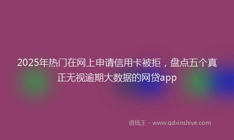 2025年热门在网上申请信用卡被拒，盘点五个真正无视逾期大数据的网贷app