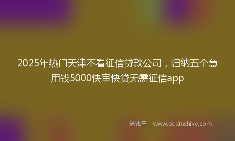 2025年热门天津不看征信贷款公司，归纳五个急用钱5000快审快贷无需征信app