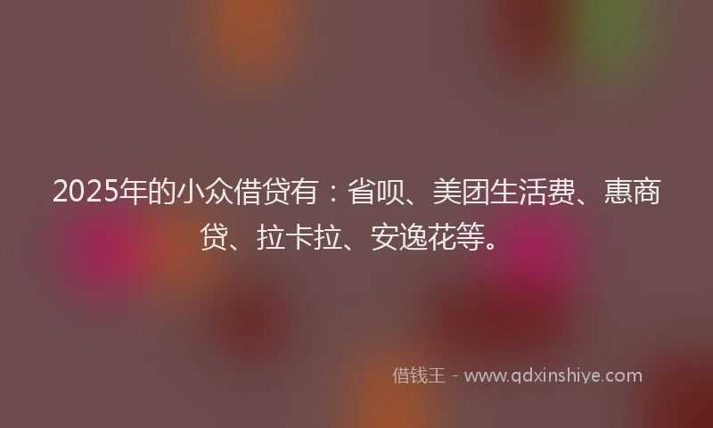 2025年的小众借贷有：省呗、美团生活费、惠商贷、拉卡拉、安逸花等。