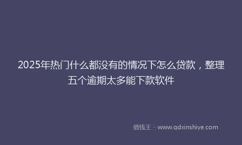 2025年热门什么都没有的情况下怎么贷款，整理五个逾期太多能下款软件
