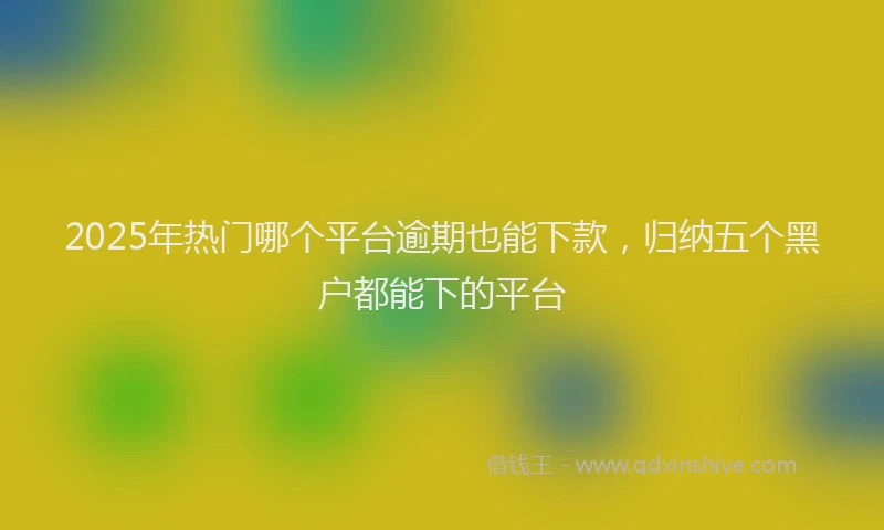 2025年热门哪个平台逾期也能下款，归纳五个黑户都能下的平台
