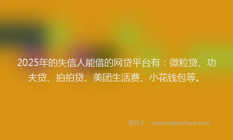 2025年的失信人能借的网贷平台有：微粒贷、功夫贷、拍拍贷、美团生活费、小花钱包等。