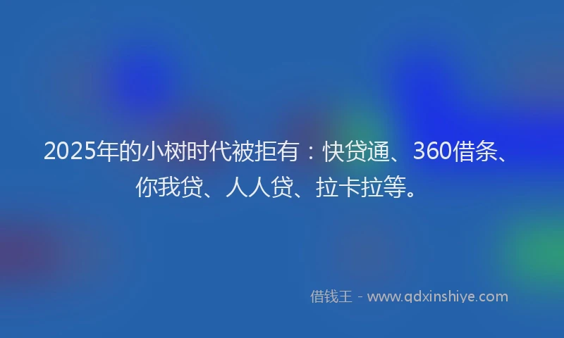 2025年的小树时代被拒有：快贷通、360借条、你我贷、人人贷、拉卡拉等。
