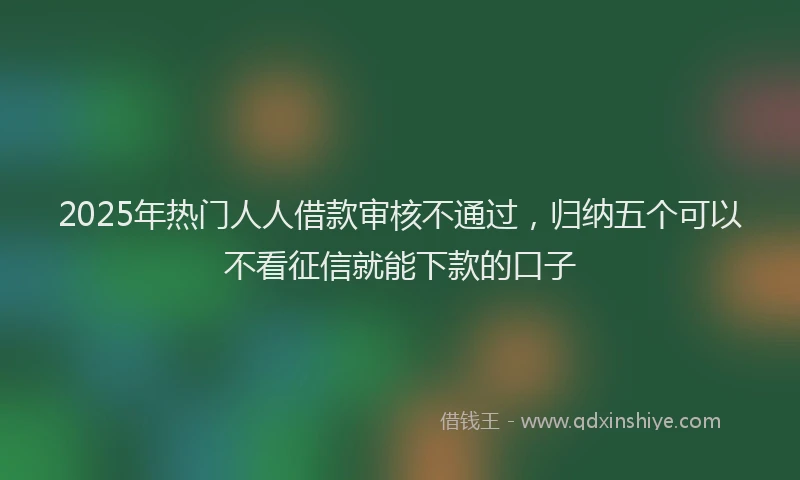 2025年热门人人借款审核不通过，归纳五个可以不看征信就能下款的口子