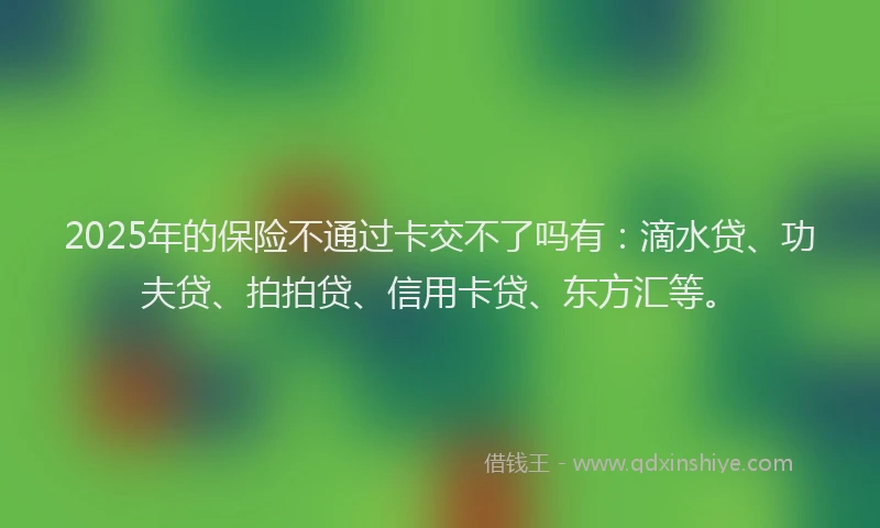 2025年的保险不通过卡交不了吗有：滴水贷、功夫贷、拍拍贷、信用卡贷、东方汇等。