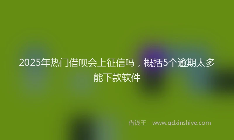 2025年热门借呗会上征信吗，概括5个逾期太多能下款软件
