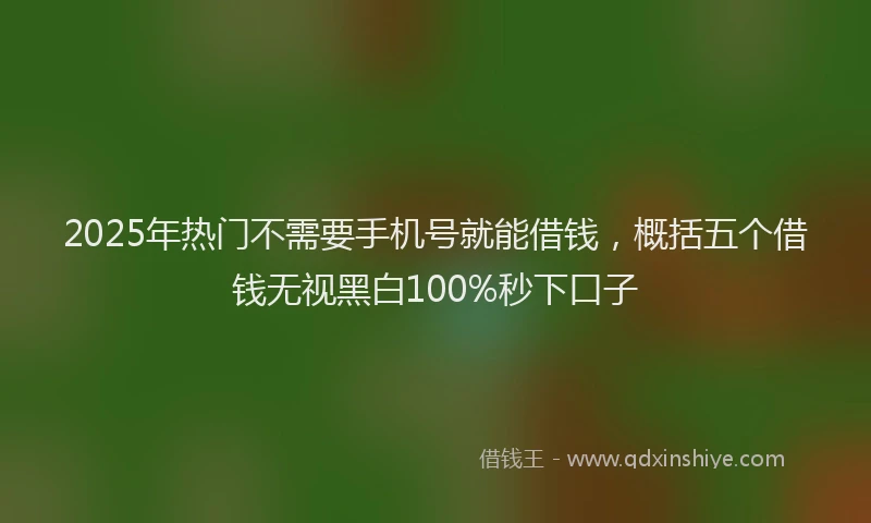 2025年热门不需要手机号就能借钱，概括五个借钱无视黑白100%秒下口子