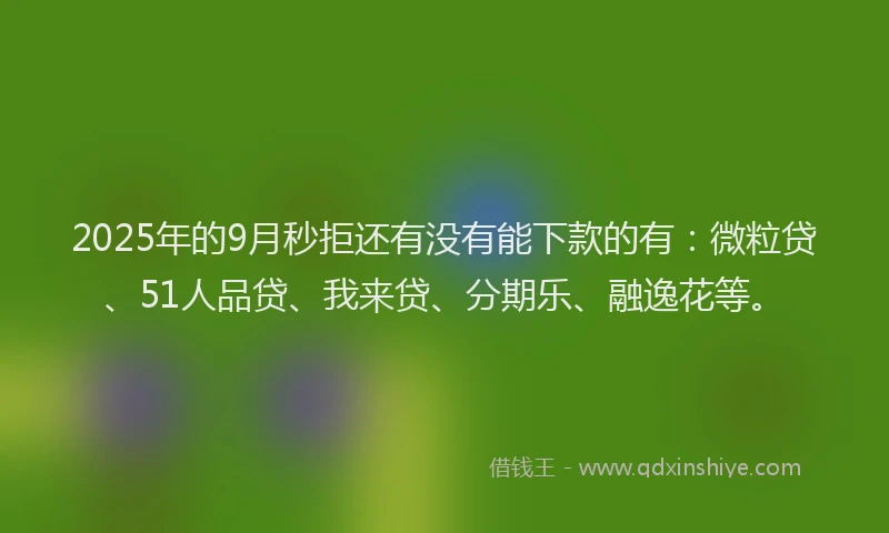 2025年的9月秒拒还有没有能下款的有：微粒贷、51人品贷、我来贷、分期乐、融逸花等。