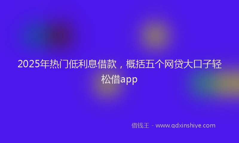 2025年热门低利息借款，概括五个网贷大口子轻松借app