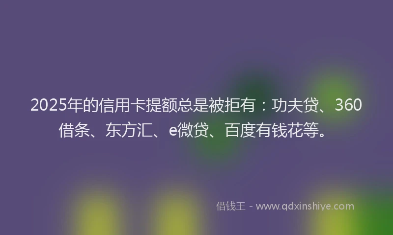 2025年的信用卡提额总是被拒有：功夫贷、360借条、东方汇、e微贷、百度有钱花等。