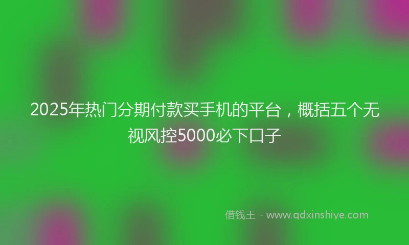 2025年热门分期付款买手机的平台，概括五个无视风控5000必下口子