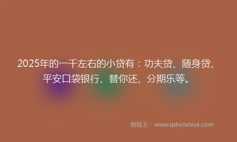 2025年的一千左右的小贷有：功夫贷、随身贷、平安口袋银行、替你还、分期乐等。