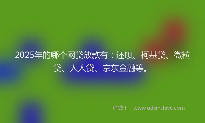 2025年的哪个网贷放款有：还呗、柯基贷、微粒贷、人人贷、京东金融等。