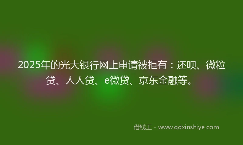 2025年的光大银行网上申请被拒有：还呗、微粒贷、人人贷、e微贷、京东金融等。