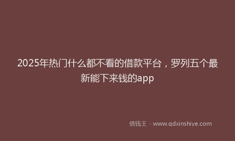 2025年热门什么都不看的借款平台，罗列五个最新能下来钱的app