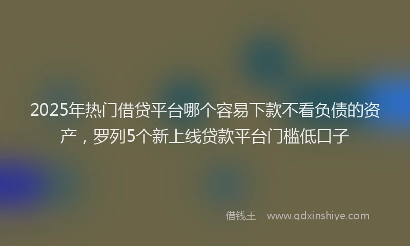 2025年热门借贷平台哪个容易下款不看负债的资产，罗列5个新上线贷款平台门槛低口子