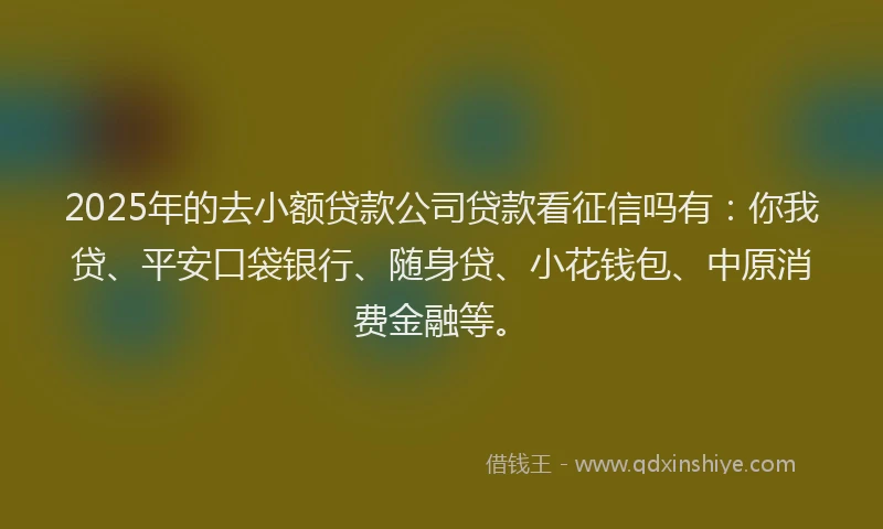 2025年的去小额贷款公司贷款看征信吗有：你我贷、平安口袋银行、随身贷、小花钱包、中原消费金融等。