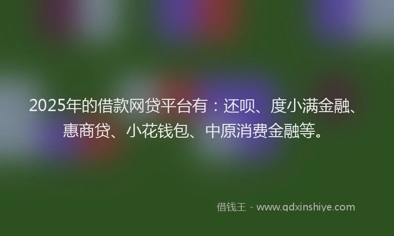 2025年的借款网贷平台有：还呗、度小满金融、惠商贷、小花钱包、中原消费金融等。