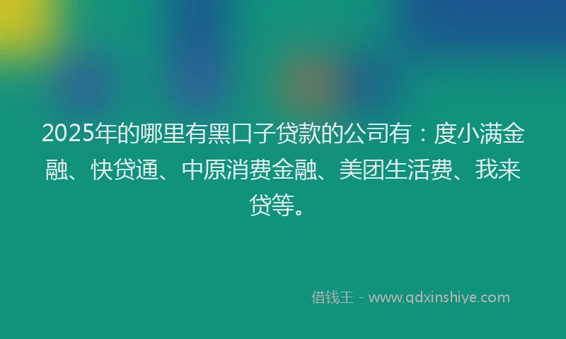 2025年的哪里有黑口子贷款的公司有：度小满金融、快贷通、中原消费金融、美团生活费、我来贷等。