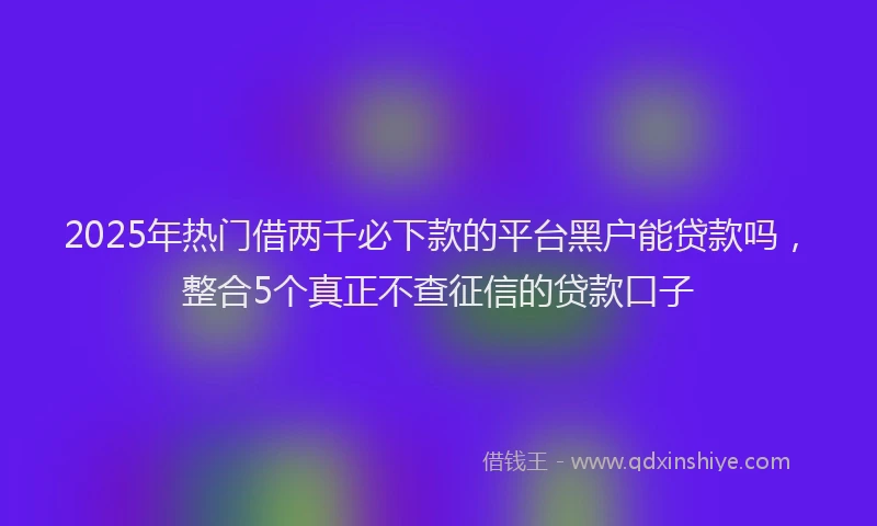 2025年热门借两千必下款的平台黑户能贷款吗，整合5个真正不查征信的贷款口子