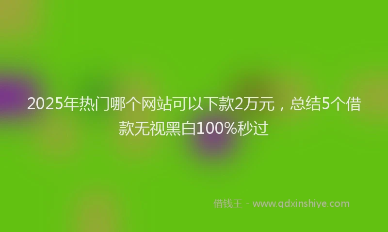 2025年热门哪个网站可以下款2万元，总结5个借款无视黑白100%秒过