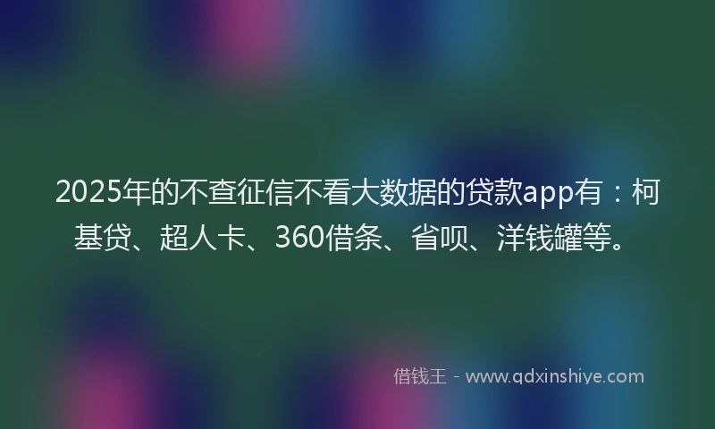 2025年的不查征信不看大数据的贷款app有：柯基贷、超人卡、360借条、省呗、洋钱罐等。