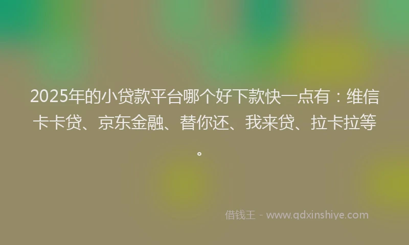 2025年的小贷款平台哪个好下款快一点有：维信卡卡贷、京东金融、替你还、我来贷、拉卡拉等。