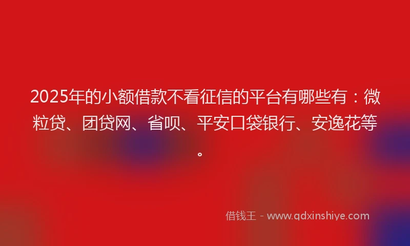 2025年的小额借款不看征信的平台有哪些有：微粒贷、团贷网、省呗、平安口袋银行、安逸花等。