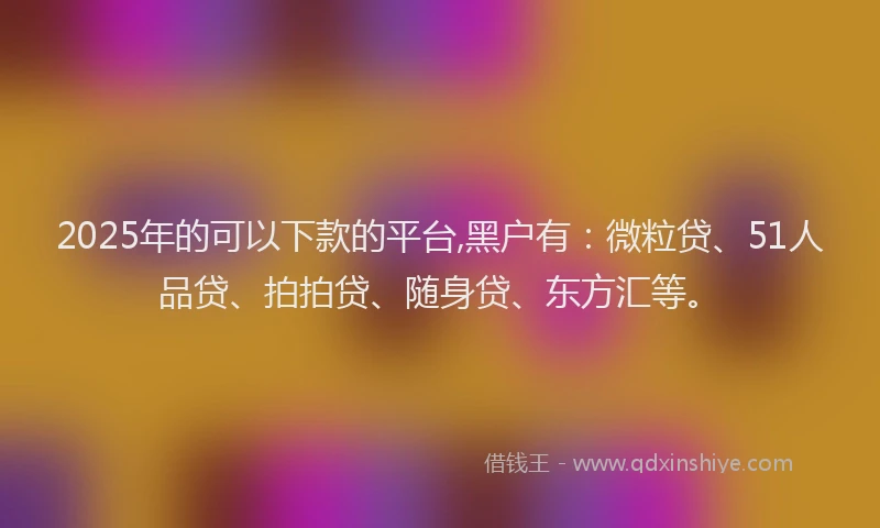 2025年的可以下款的平台,黑户有：微粒贷、51人品贷、拍拍贷、随身贷、东方汇等。
