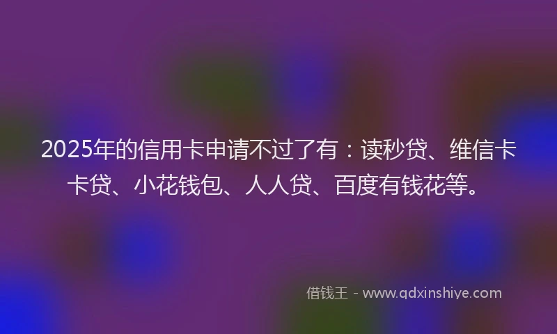 2025年的信用卡申请不过了有：读秒贷、维信卡卡贷、小花钱包、人人贷、百度有钱花等。