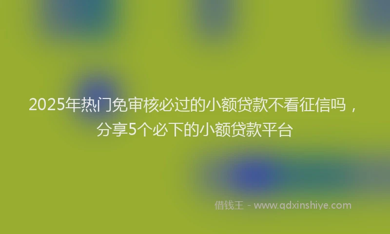 2025年热门免审核必过的小额贷款不看征信吗，分享5个必下的小额贷款平台