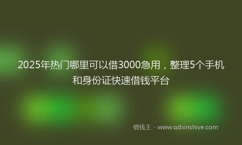 2025年热门哪里可以借3000急用，整理5个手机和身份证快速借钱平台