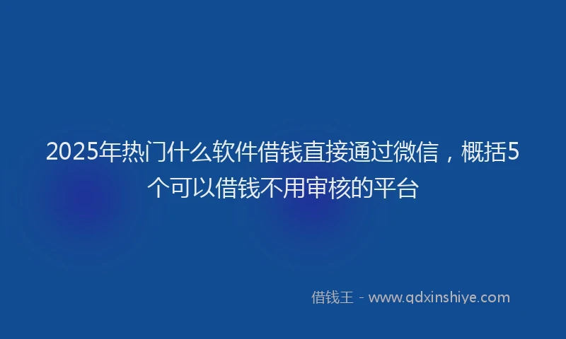 2025年热门什么软件借钱直接通过微信，概括5个可以借钱不用审核的平台