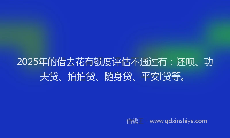 2025年的借去花有额度评估不通过有：还呗、功夫贷、拍拍贷、随身贷、平安i贷等。
