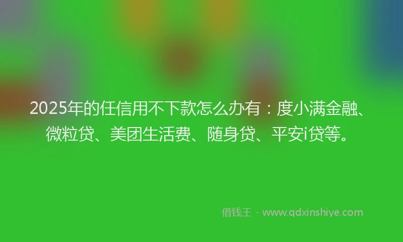2025年的任信用不下款怎么办有：度小满金融、微粒贷、美团生活费、随身贷、平安i贷等。