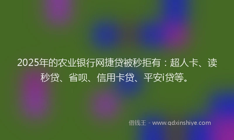 2025年的农业银行网捷贷被秒拒有:超人卡、读秒贷、省呗、信用卡贷、平安i贷等。