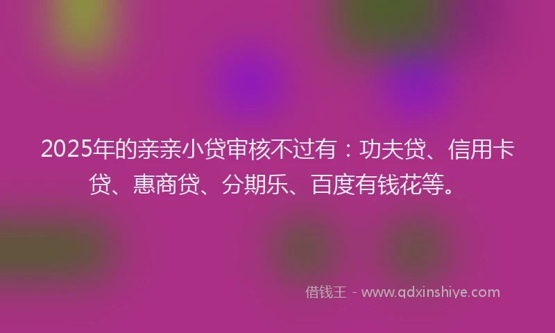 2025年的亲亲小贷审核不过有：功夫贷、信用卡贷、惠商贷、分期乐、百度有钱花等。