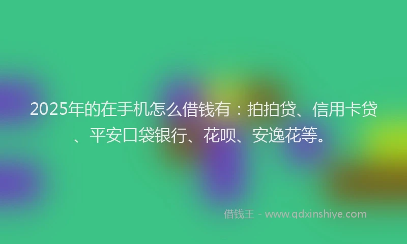 2025年的在手机怎么借钱有：拍拍贷、信用卡贷、平安口袋银行、花呗、安逸花等。
