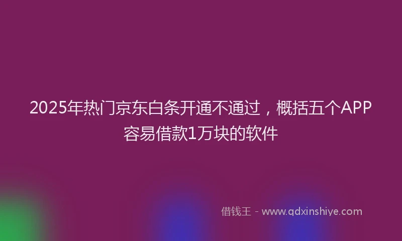 2025年热门京东白条开通不通过，概括五个APP容易借款1万块的软件