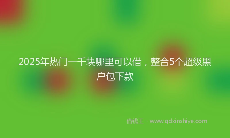 2025年热门一千块哪里可以借，整合5个超级黑户包下款
