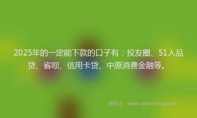2025年的一定能下款的口子有：投友圈、51人品贷、省呗、信用卡贷、中原消费金融等。