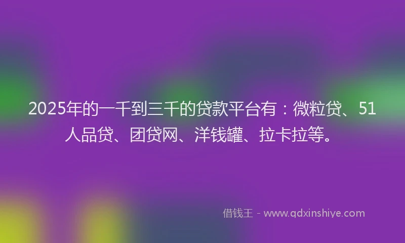 2025年的一千到三千的贷款平台有：微粒贷、51人品贷、团贷网、洋钱罐、拉卡拉等。