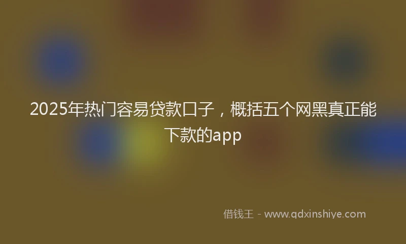 2025年热门容易贷款口子，概括五个网黑真正能下款的app