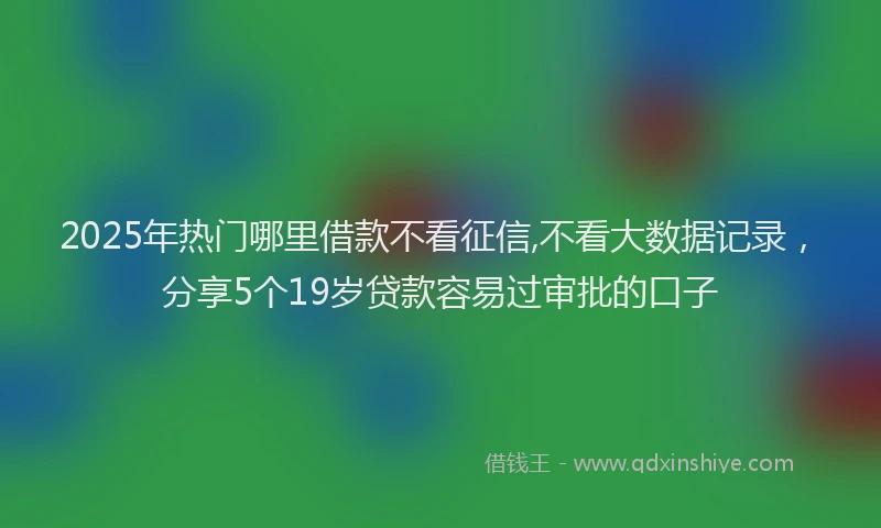 2025年热门哪里借款不看征信,不看大数据记录，分享5个19岁贷款容易过审批的口子