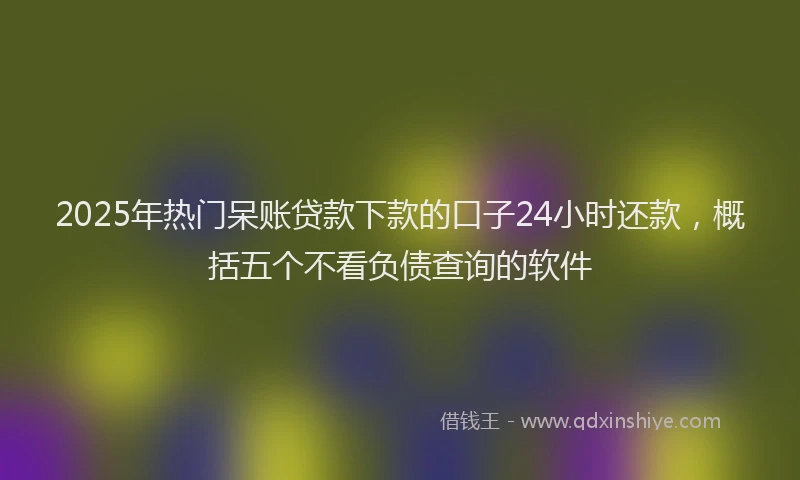 2025年热门呆账贷款下款的口子24小时还款，概括五个不看负债查询的软件