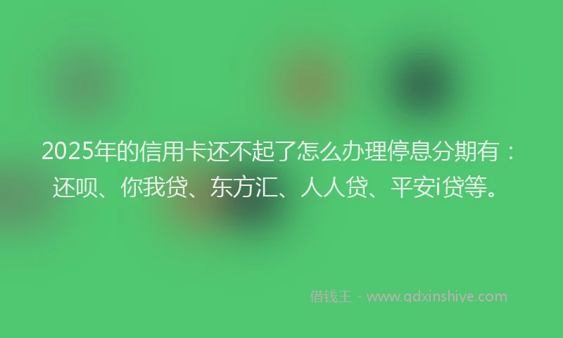 2025年的信用卡还不起了怎么办理停息分期有：还呗、你我贷、东方汇、人人贷、平安i贷等。